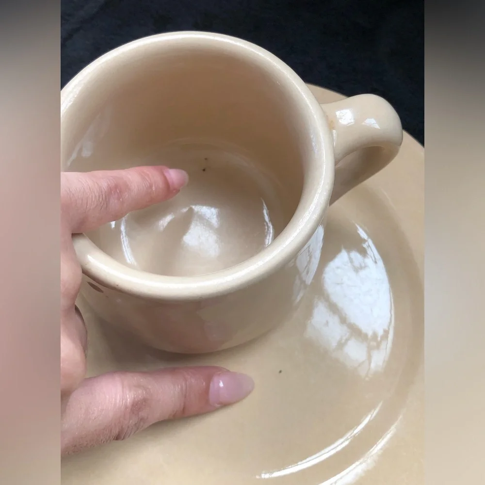 6 Pcs. Tepco China Tan Cup And Plate Set USA